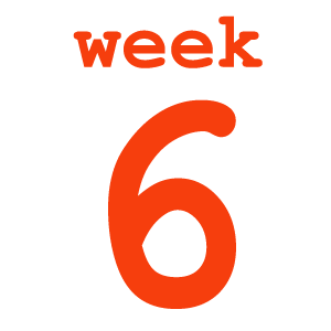 6th Week Review