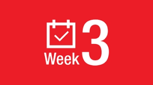 3rd week done!