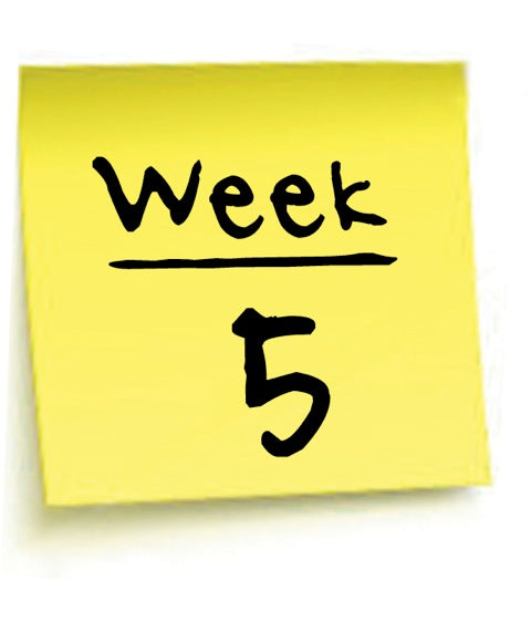 5th Week Review
