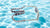 Glasskin Float - Camo